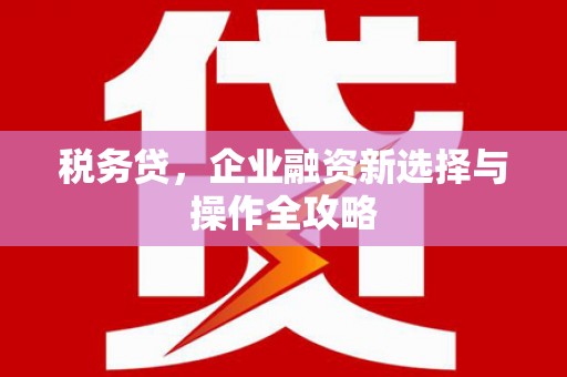富川税务贷，企业融资新选择与操作全攻略