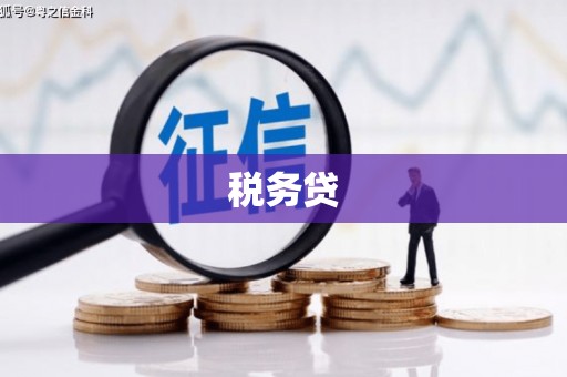 富川税务贷