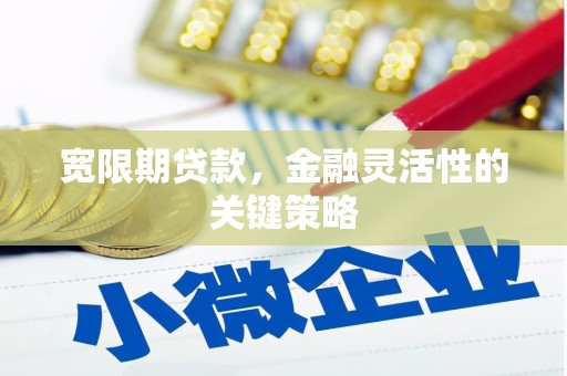 富川宽限期贷款，金融灵活性的关键策略