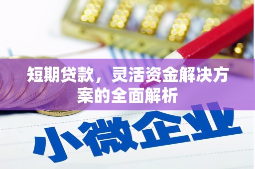 富川短期贷款，灵活资金解决方案的全面解析