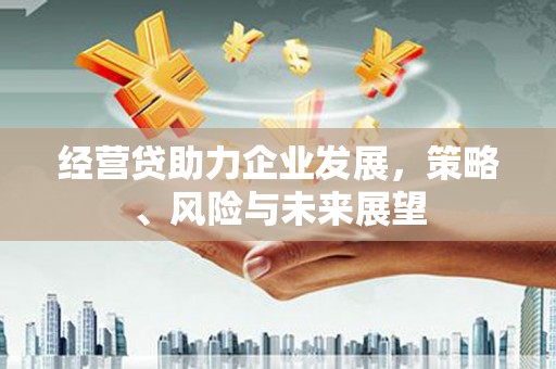 富川经营贷助力企业发展，策略、风险与未来展望