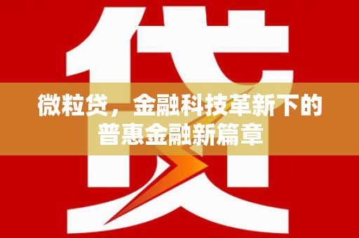 富川微粒贷，金融科技革新下的普惠金融新篇章
