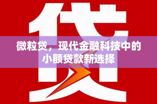 富川微粒贷，现代金融科技中的小额贷款新选择