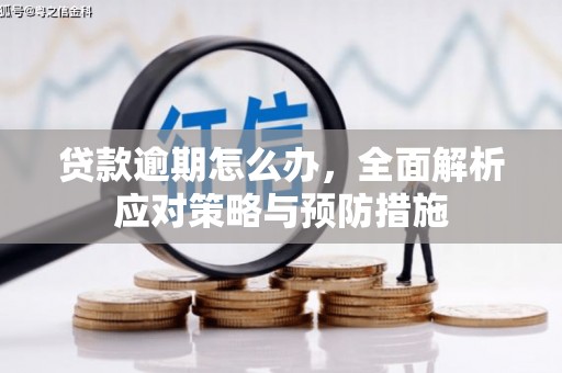 富川贷款逾期怎么办，全面解析应对策略与预防措施