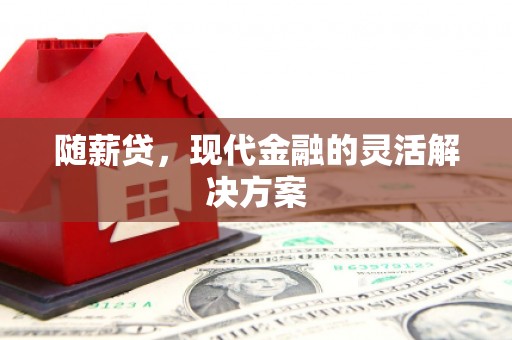 富川随薪贷，现代金融的灵活解决方案