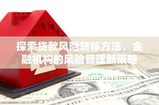 富川探索贷款风险转移方法，金融机构的风险管理新策略