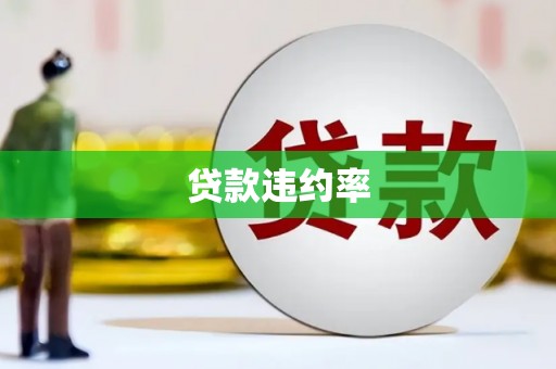 富川贷款违约率