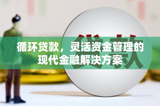 富川循环贷款，灵活资金管理的现代金融解决方案