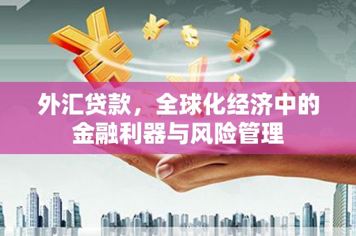 富川外汇贷款，全球化经济中的金融利器与风险管理