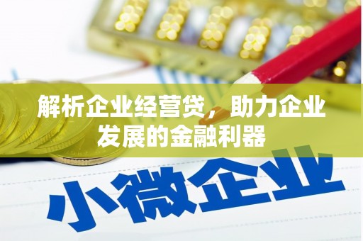 富川解析企业经营贷，助力企业发展的金融利器