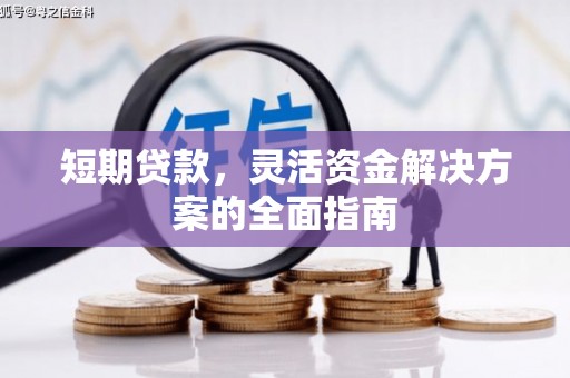 富川短期贷款，灵活资金解决方案的全面指南