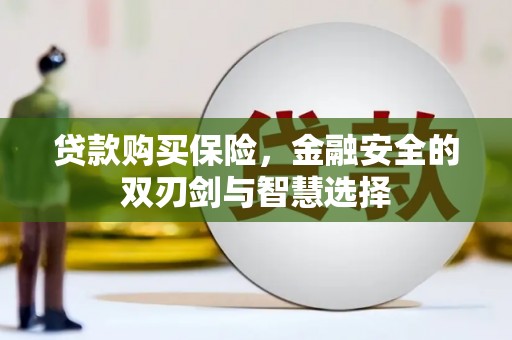 富川贷款购买保险，金融安全的双刃剑与智慧选择