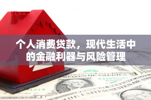 富川个人消费贷款，现代生活中的金融利器与风险管理