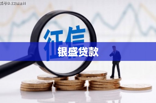 富川银盛贷款