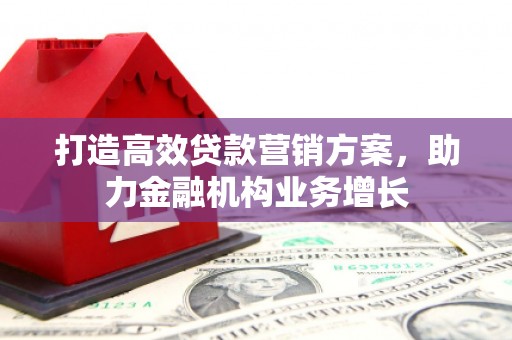富川打造高效贷款营销方案，助力金融机构业务增长