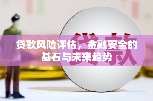 富川贷款风险评估，金融安全的基石与未来趋势