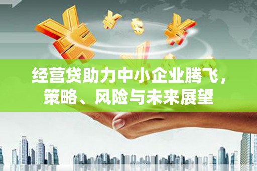 富川经营贷助力中小企业腾飞，策略、风险与未来展望