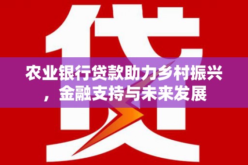 富川农业银行贷款助力乡村振兴，金融支持与未来发展