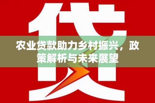富川农业贷款助力乡村振兴，政策解析与未来展望