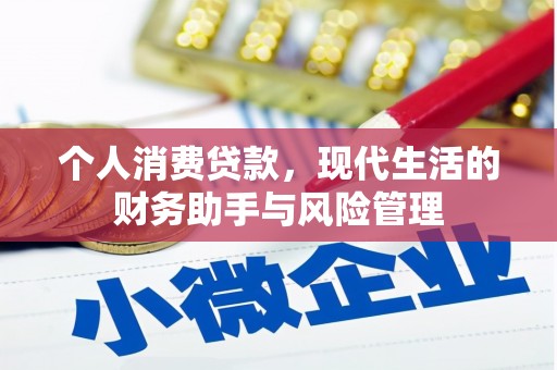富川个人消费贷款，现代生活的财务助手与风险管理
