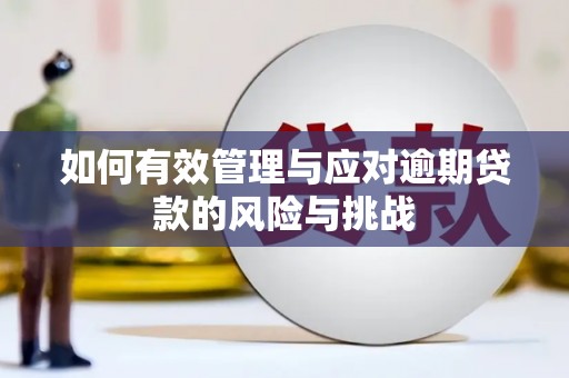 富川如何有效管理与应对逾期贷款的风险与挑战
