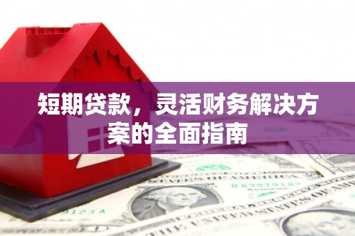 富川短期贷款，灵活财务解决方案的全面指南
