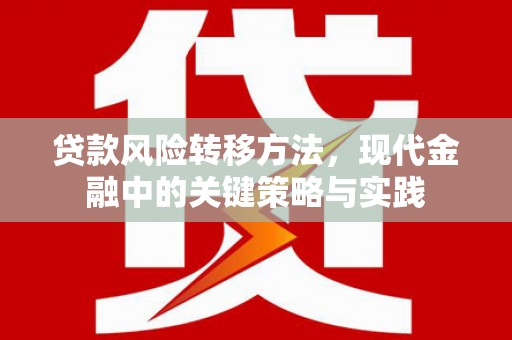 富川贷款风险转移方法，现代金融中的关键策略与实践