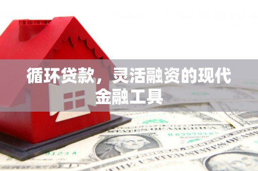 富川循环贷款，灵活融资的现代金融工具