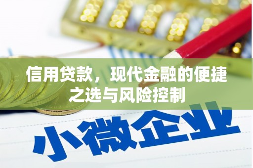 富川信用贷款，现代金融的便捷之选与风险控制