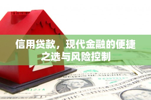富川信用贷款，现代金融的便捷之选与风险控制