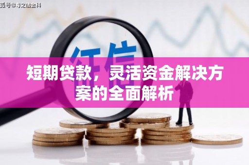 富川短期贷款，灵活资金解决方案的全面解析