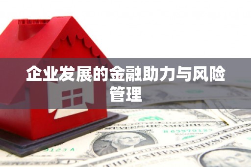 富川企业发展的金融助力与风险管理