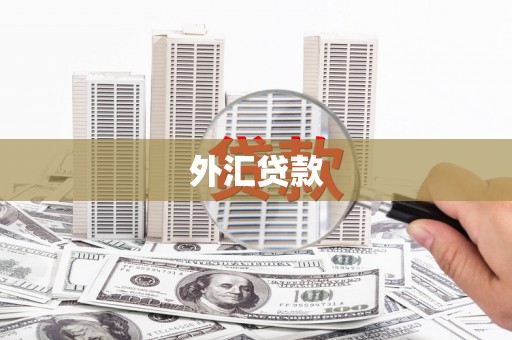 富川外汇贷款