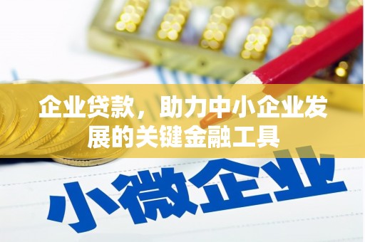 富川企业贷款，助力中小企业发展的关键金融工具