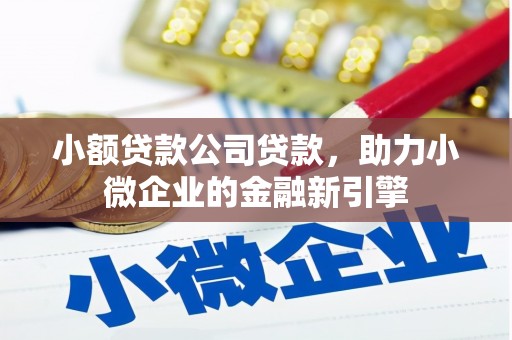 富川小额贷款公司贷款，助力小微企业的金融新引擎