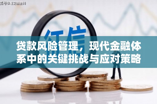 富川贷款风险管理，现代金融体系中的关键挑战与应对策略