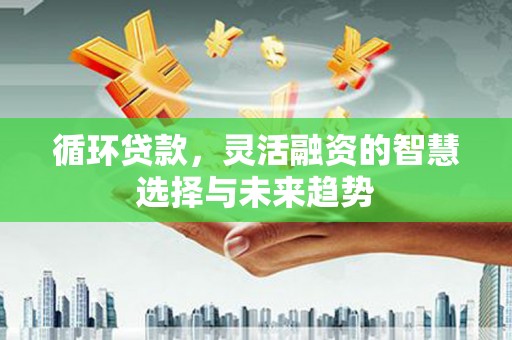 富川循环贷款，灵活融资的智慧选择与未来趋势