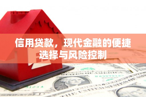 富川信用贷款，现代金融的便捷选择与风险控制