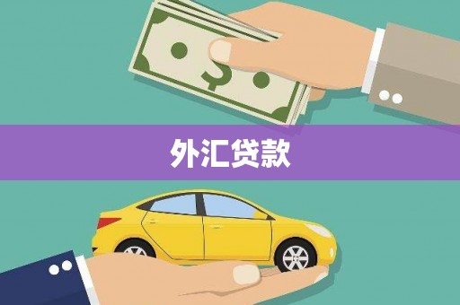 富川外汇贷款