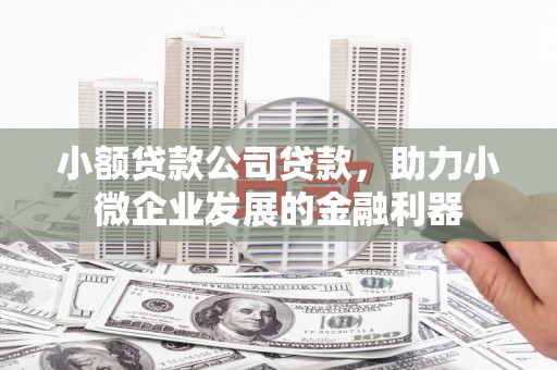 富川小额贷款公司贷款，助力小微企业发展的金融利器