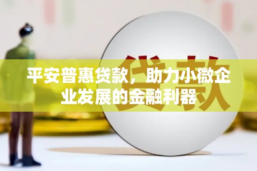 富川平安普惠贷款，助力小微企业发展的金融利器
