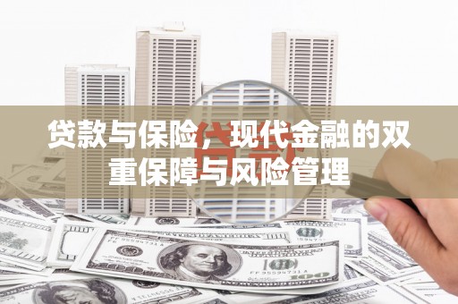 富川贷款与保险，现代金融的双重保障与风险管理