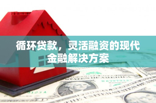 富川循环贷款，灵活融资的现代金融解决方案