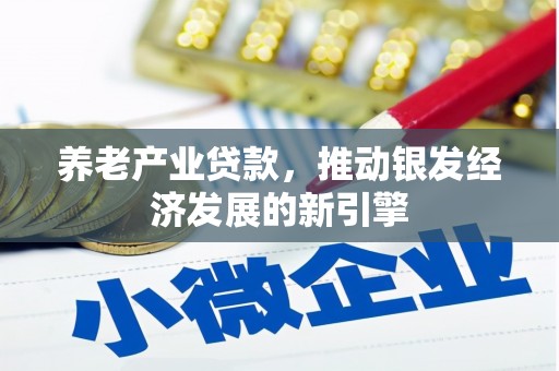 富川养老产业贷款，推动银发经济发展的新引擎