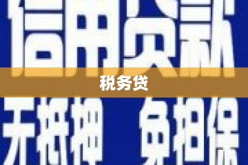 富川税务贷