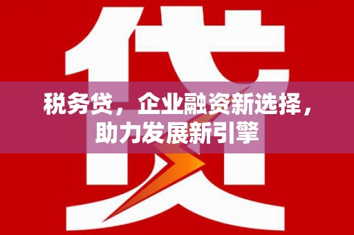 富川税务贷，企业融资新选择，助力发展新引擎