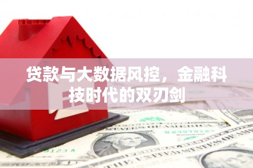 富川贷款与大数据风控，金融科技时代的双刃剑