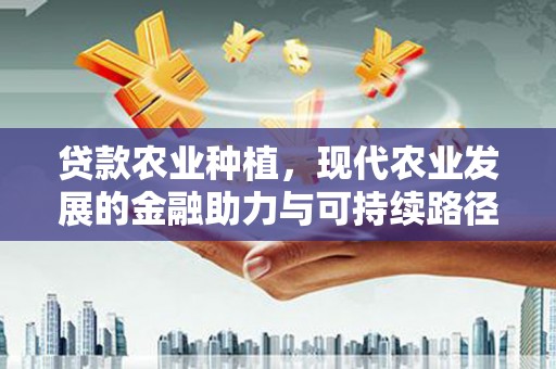 富川贷款农业种植，现代农业发展的金融助力与可持续路径