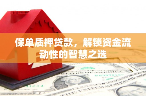 富川保单质押贷款，解锁资金流动性的智慧之选