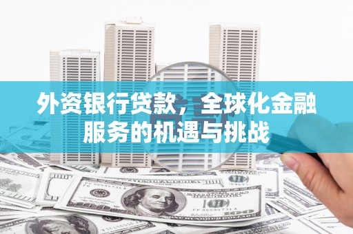富川外资银行贷款，全球化金融服务的机遇与挑战